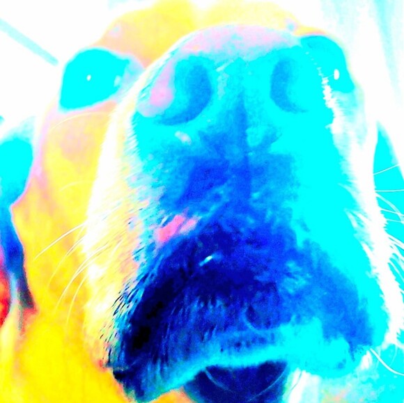 stargazerjc